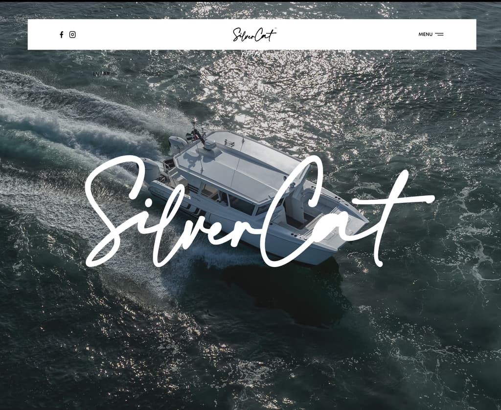 Silver Cat — Framer website
