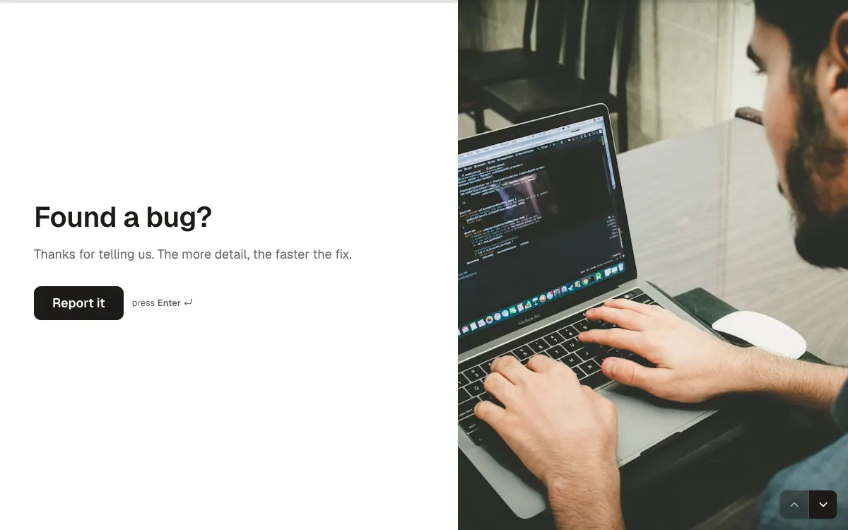 Bug report: a screen from the Forms bug report template