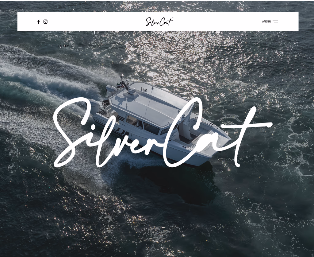 Silver Cat — Framer website